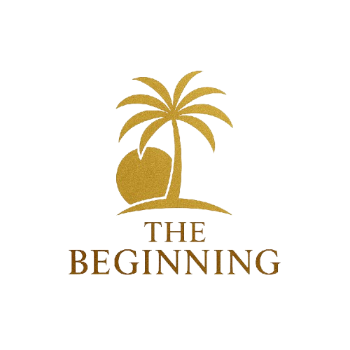 The Beginning